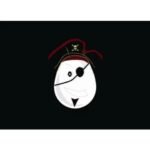 Drapeau Pirate Enfant Crâne Visage