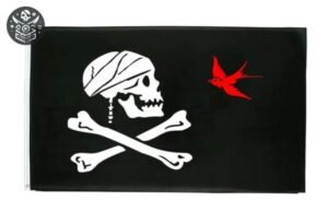 Drapeau Pirate Oiseau Crâne Original Coloré — Trésor Pirate